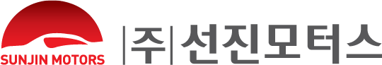 선진모터스 로고